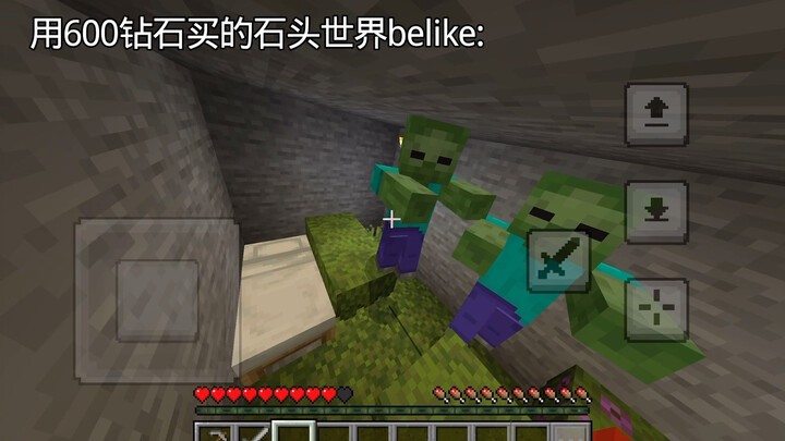 โลกแห่งหินที่ซื้อด้วยเพชร 600 เม็ดแบบว่า: