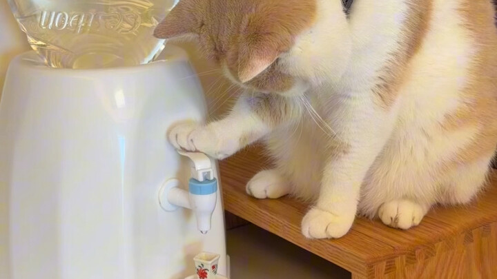 Đôi mắt của Mi chính là thước đo!