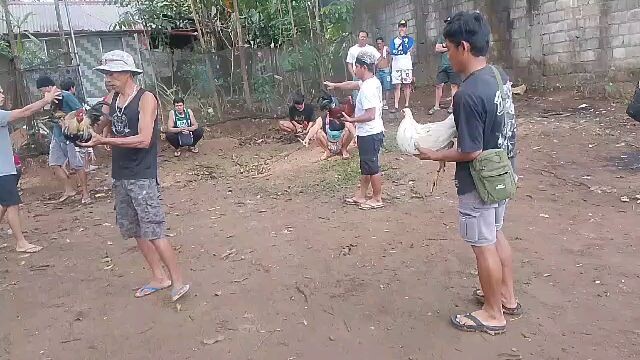 talisay vs 2.9 sinibalang lose, tupada 02/15/26