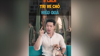 5 cách trị ve chó hiệu quả tuitienpet dcgr LearnOnTikTok pet