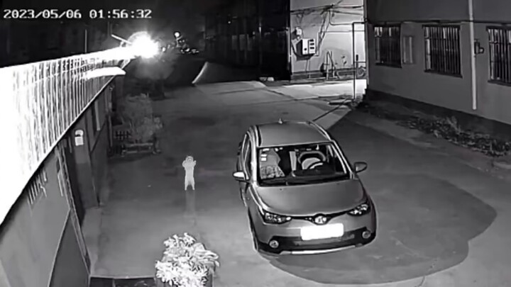 ชีวิตไม่ง่าย น้องแมวออกแสดงหาเงิน