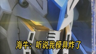 RG海牛目前模具现状