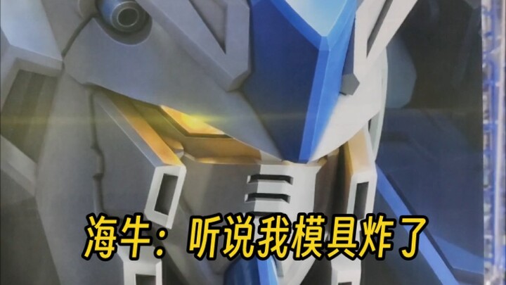 RG海牛目前模具现状