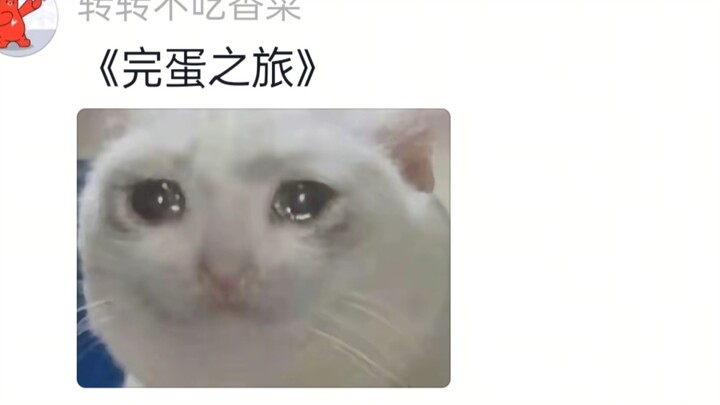 我就说上网能学到真东西…