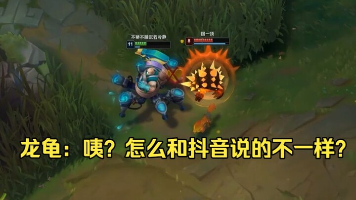 Dragon Turtle: Huh? Why is it different from what TikTok said? I used my W to taunt the crab—why isn