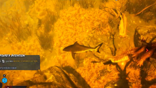 Tôi là đứa con tội lỗi của cá mập Megalodon trong Maneater - GHTG