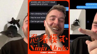 警告：有一只仓鼠已经进入「忍者模式」