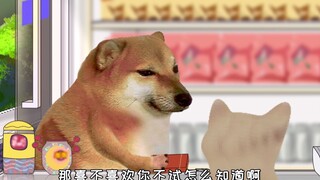 تشيمز، لقد انتظرت وقتًا طويلاً جدًا