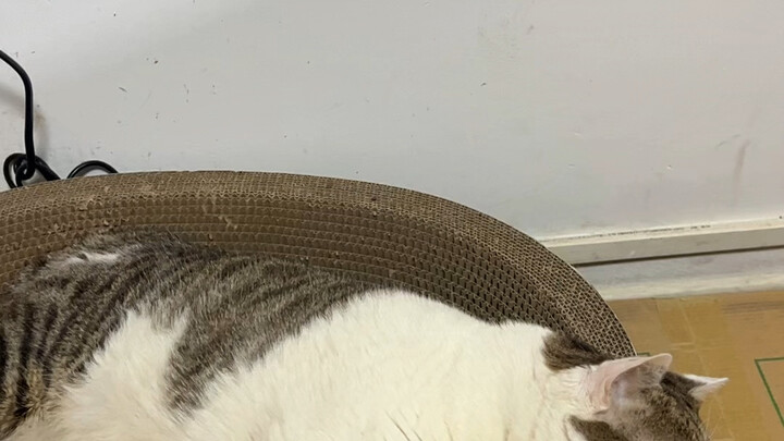 เล่นกันเถอะ!