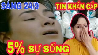 🔴 Sáng 24/9: Việt Hương và BS BV Chợ Rẫy thông báo "KHẨN" Sức Khỏe của ca sĩ Phi Nhung rất mong manh