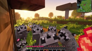 الراكون الصغير: لن أعطي الحلوى إلا إذا قمت بالمشاكسة! لطيف