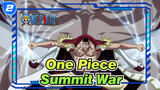[One Piece] Summit War_2