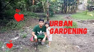 Idle Lot Transformed Into A Vegetables Garden