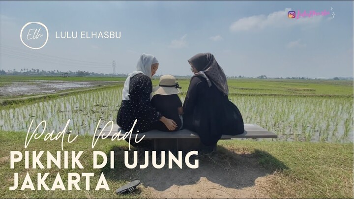 PIKNIK DI UJUNG JAKARTA | PADI PADI