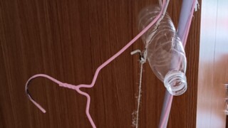 يمكن ضبط صوت القيثارة