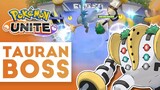 ZAPDOS ARTICUNO REGIGIGAS dan Boss Pokemon Lain BAKAL BISA DIKENDALIIN - Pokemon
