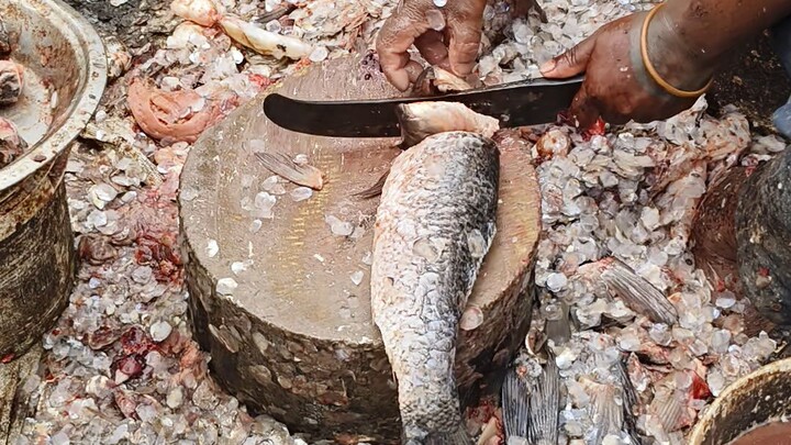 Fish cleaning in Amalapuram