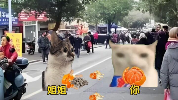 Khi em gái tôi xấu hổ khi vứt rác khi trở về làng #catmeme #vui nhộn #nội dung quá thật #kịchmèomeme