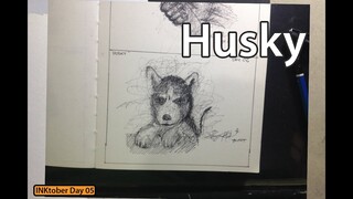 "Husky" (Day 06) - Inktober 2019 | JK Art