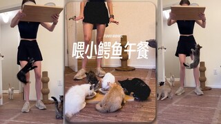 这些鳄鱼怎么上蹿下跳的⁉️