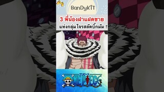 วันพีช:3พี่น้องแฝดชายแห่งตระกูลชาลอต #roblox #tiktok #onepiece #bloxfruits #fypシ #anime #shorts