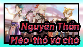 Nguyên Thần|【MMD】Mèo, thỏ và chó