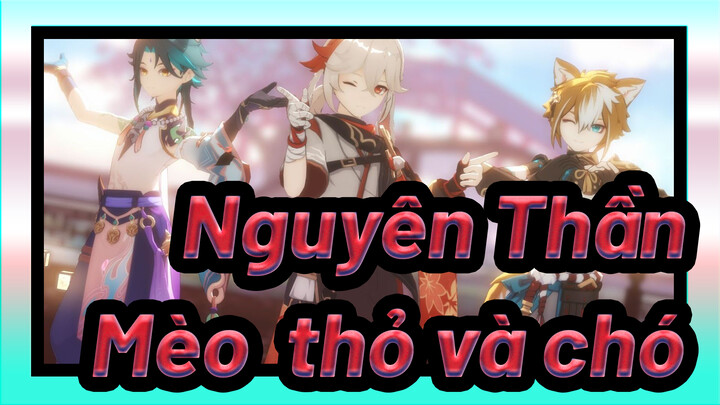 Nguyên Thần|【MMD】Mèo, thỏ và chó