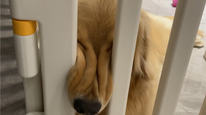 It can even wink at me……………