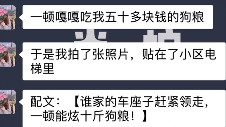 Seekor anjing kecil menjadi *a: Meski plotnya agak keterlaluan, tapi lucu banget hahahaha