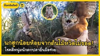 นกฮูกน้อยห้อยจากต้นไม้หวิดไม่รอด! โชคดีหนุ่มนักตกปลายื่นมือช่วย | Dog's Clip