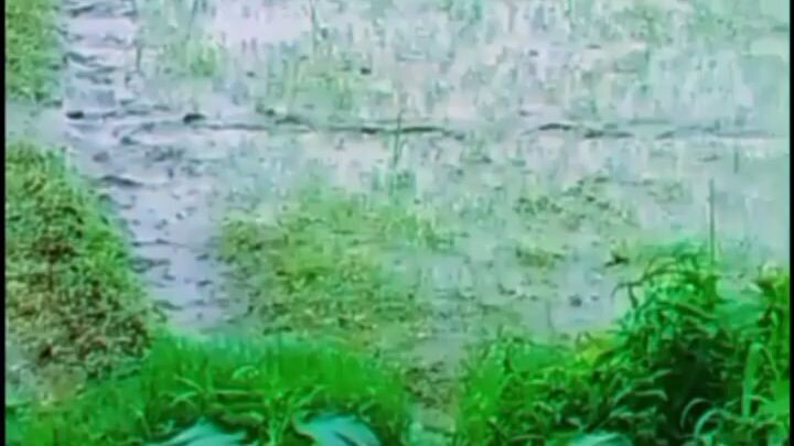 ভালো একটা লোকেশনে কম দামে একটা জায়গার ভিডিও নিয়ে আসলাম #Bangladesh #Dhaka #barrel rolls