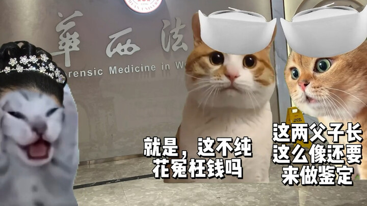 عندما أخذتني أمي لإجراء اختبار حمض نووي بسبب الشبه الكبير بيني وبين صديقي – الجزء الثاني 1