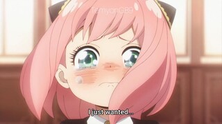 Anya Cries As She Apologize, Damian Started To Fall in Love. Wakuwaku...