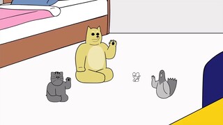 Cách chọc giận Golden Retriever p1 #videohaynhat