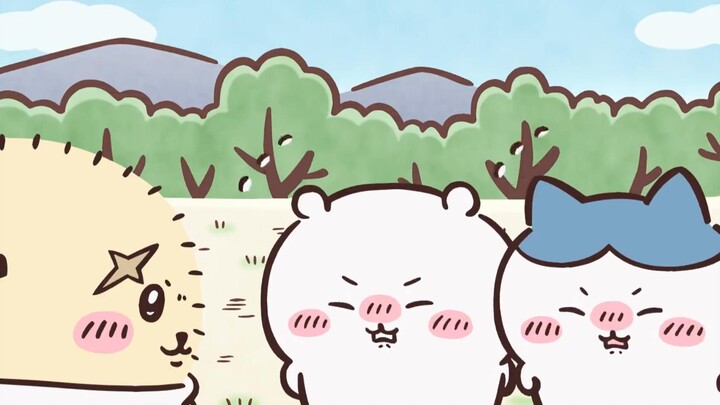 【จิอิคาวะ】ทุกครั้งที่ฉันคิดถึงการโทรหาอาจารย์ ฉันจะเขินเหมือนลูกหมู
