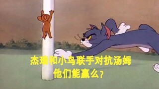 山东方言配音版《猫和老鼠》这次汤姆要被杰瑞和小鸟搞死了