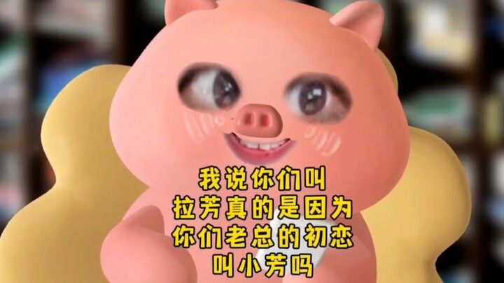 القضية كلها مجنونة بجد، هههههه