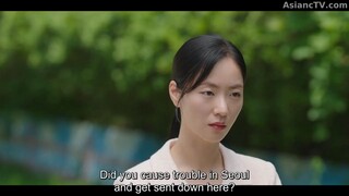 Ms. Incognito (2025) Episode 4
