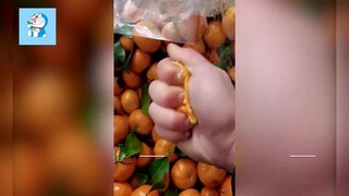 To avoid getting caught sneaking sugar tangerines, the daughter cleverly hollowed out the fruit, lea