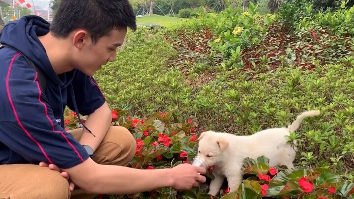 [Wu Lei] My first encounter with Gou Bei~ Xiao Bei is a girl~