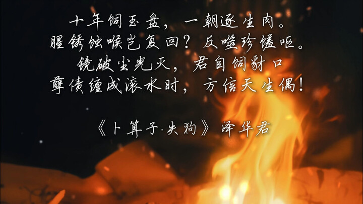 “Bu Suan Zi: Lost My Dog” — Some Things, Losing Them Is My Fortune