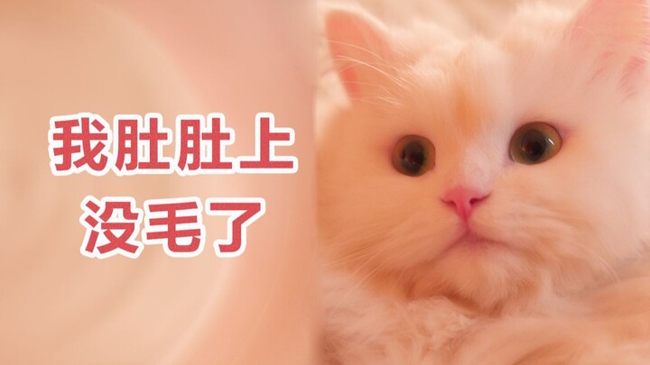 The most heartfelt companionship is: “It’s okay, I’m just like you.”