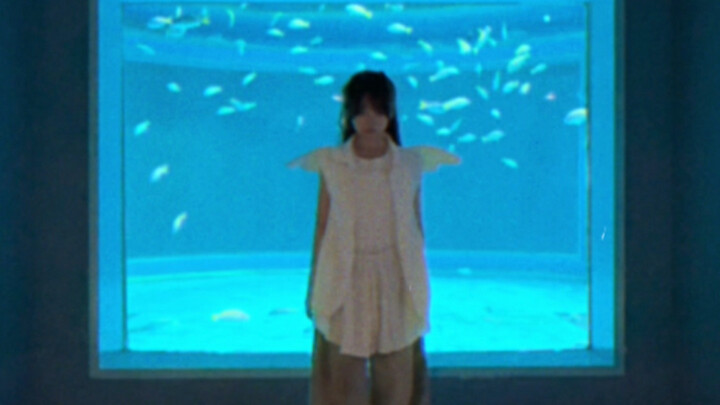 สมองถูกกัดกร่อน แต่เป็นเรื่องเล่ากฎเกณฑ์สุดพิสดารของโลกแห่งท้องทะเล