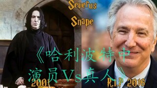 有些人已不再，有些人则继续延续着魔法