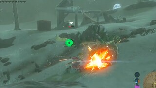 [The Legend of Zelda] Gameplay Scene Of The Death Of Horse