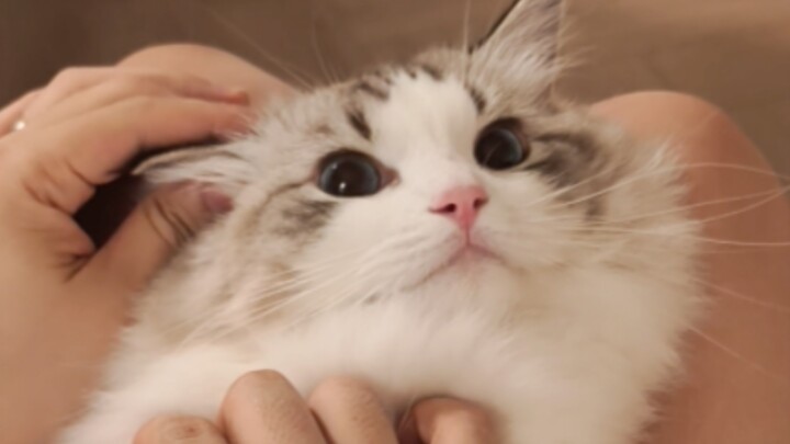 Họ đều nói tôi đóng kịch