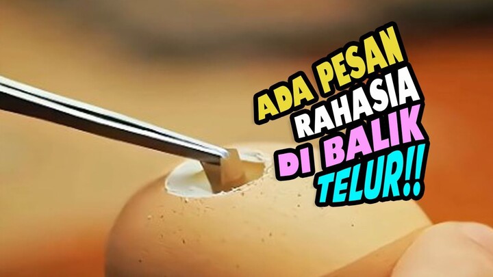 ADA PESAN RAHASIA DI BALIK KULIT TELUR