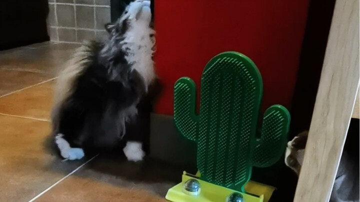 I’m already drunk—do whatever you want!