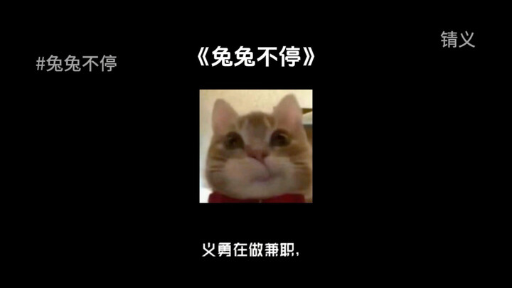 (Bunny Keeps Stopping) Before Shinkuro Bunny Starts: As soon as I raise my hand, it stops. After it 