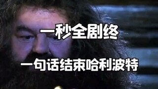 哈利波特 完结哈利波特的一百种方法